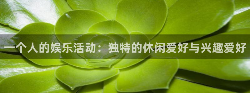 星亿娱乐下载