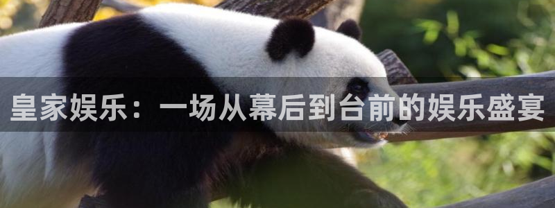 星亿娱乐vk账号注册方法详解